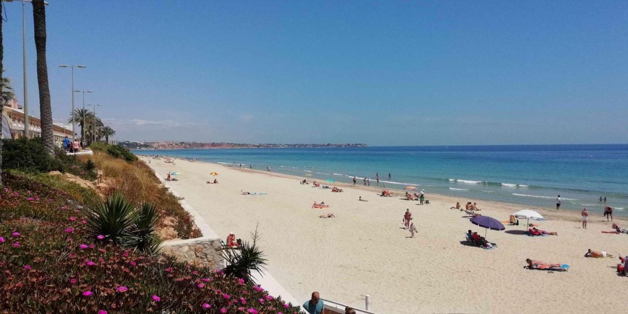 Dehesa de Campoamor  Villa Coco Caline מראה חיצוני תמונה